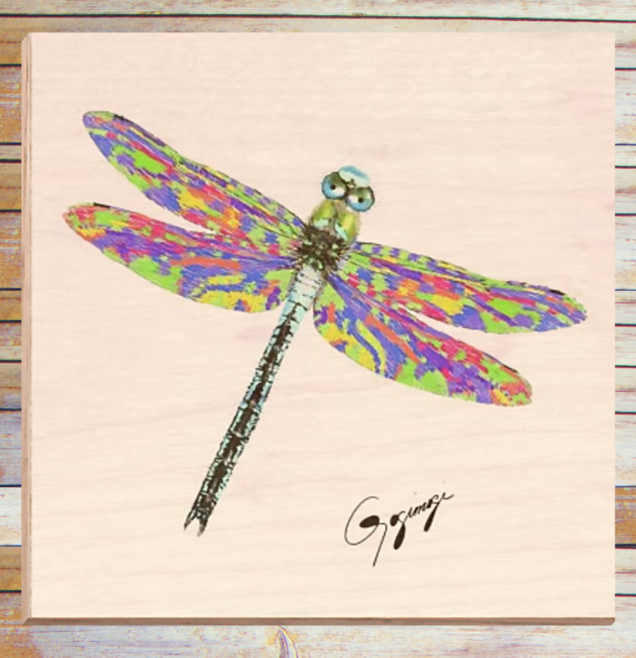 Gogimogi-Wall-Art-Dragonfly-on-Birchwood