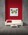 Gogimogi-Wall-Art-Painted-Jezebel-Butterfly-on-Canvas_Livingroom