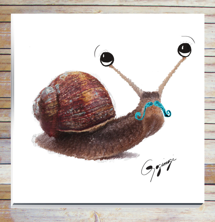 Gogimogi-Wall-Art-Snail-on-Acrylic-or-Plexiglass-1