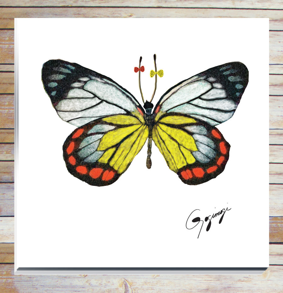 Gogimogi Wall Art_Painted Jezebel Butterfly on Acrylic or Non-Glare Plexiglass