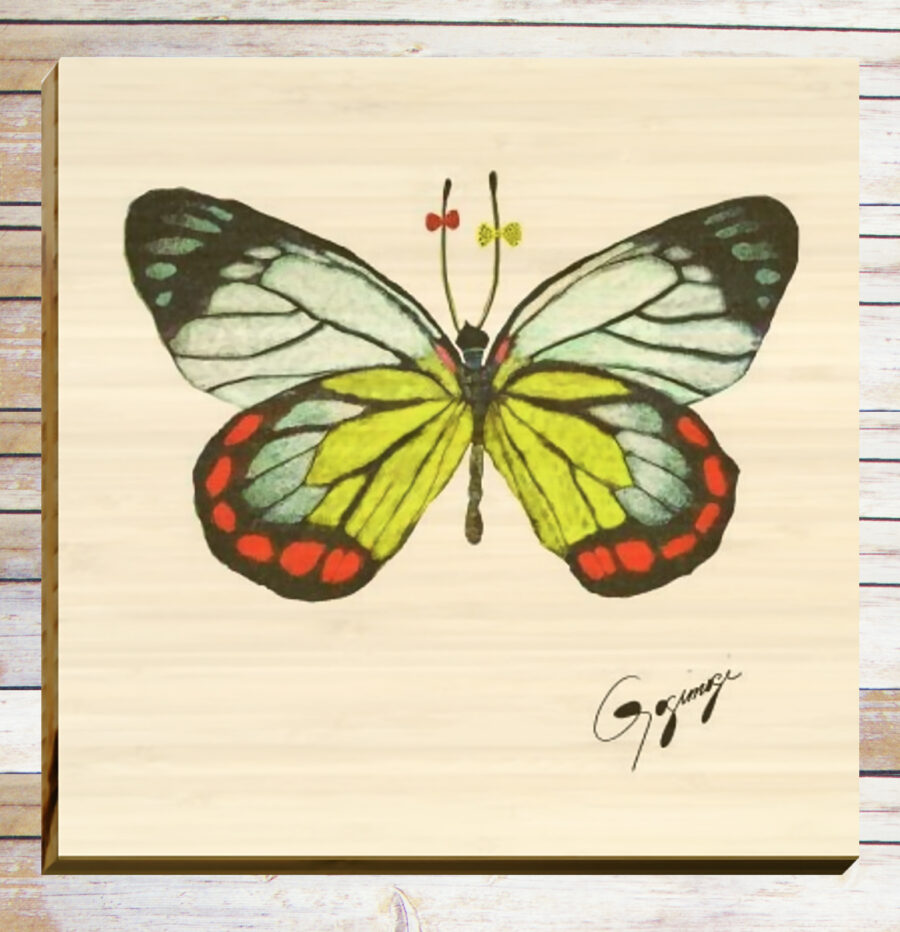 Gogimogi Wall Art-Painted Jezebel Butterfly on Bamboo