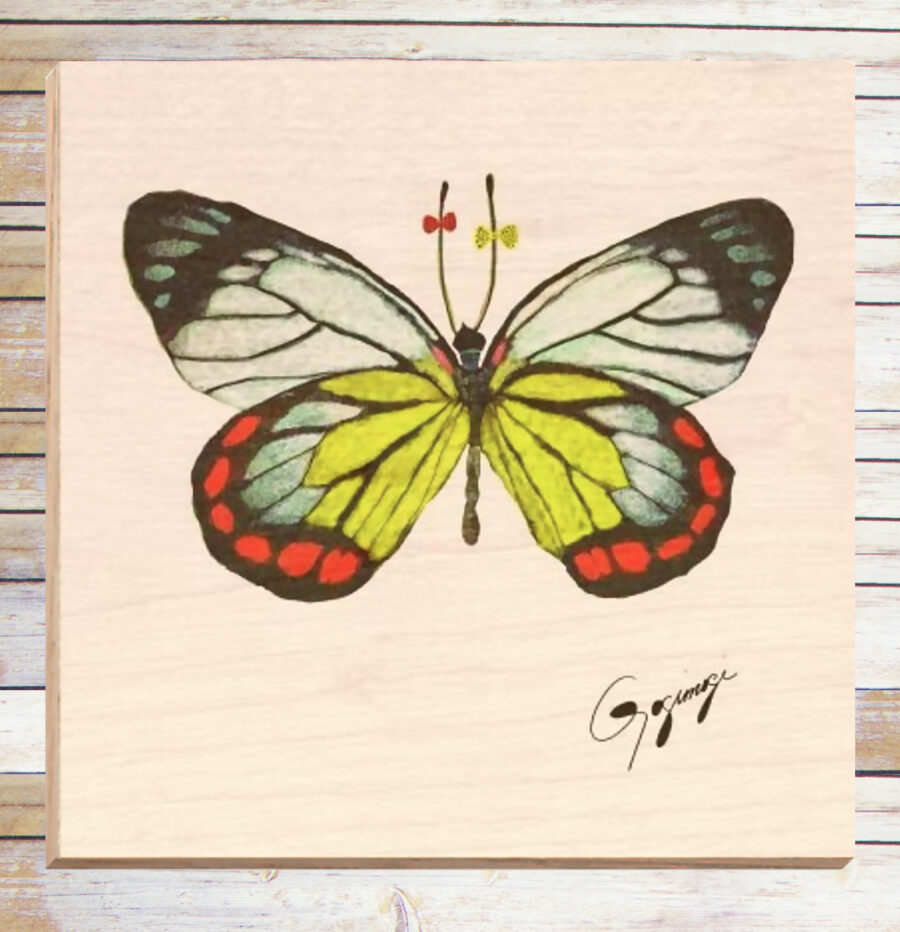 Gogimogi Wall Art-Painted Jezebel Butterfly on Birchwood