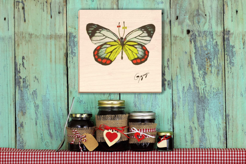 Gogimogi Wall Art-Painted Jezebel Butterfly on Wood